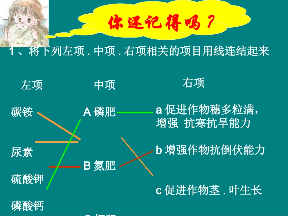 化学肥料2课件_第2页