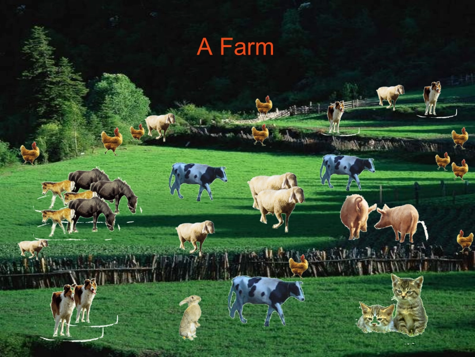集思广益at_the_farm课件_第2页