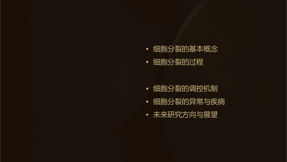 细胞通过分裂产生新的细胞课件_第2页