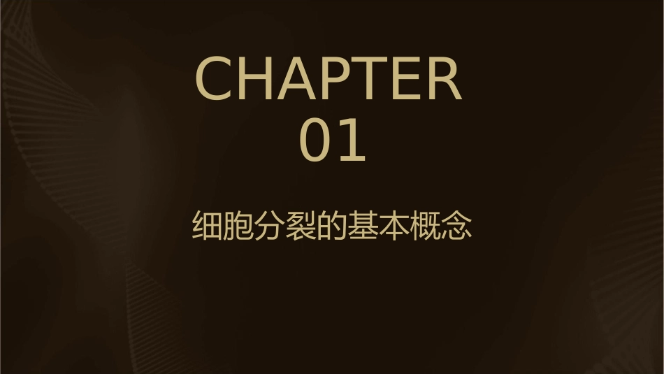 细胞通过分裂产生新的细胞课件_第3页