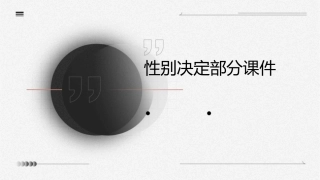 性别决定部分课件