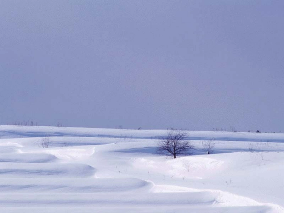 济南的冬天1_第1页