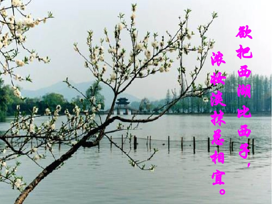 济南的冬天1_第3页