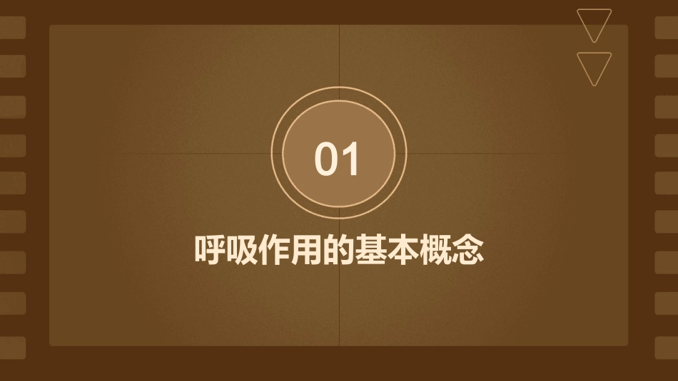 高中生物影响呼吸作用的因素课件浙科必修共张_第3页