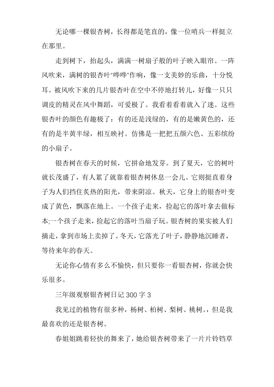 三年级观察银杏树日记300字集锦多篇_第2页