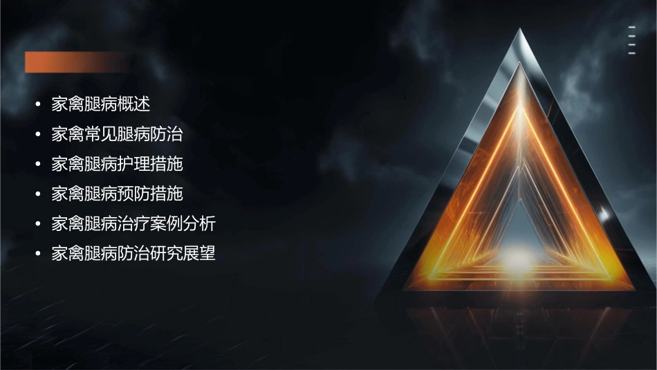家禽常见腿病防治要点护理课件_第2页