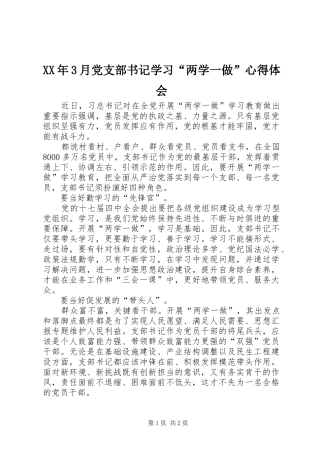 XX年3月党支部书记学习“两学一做”心得体会