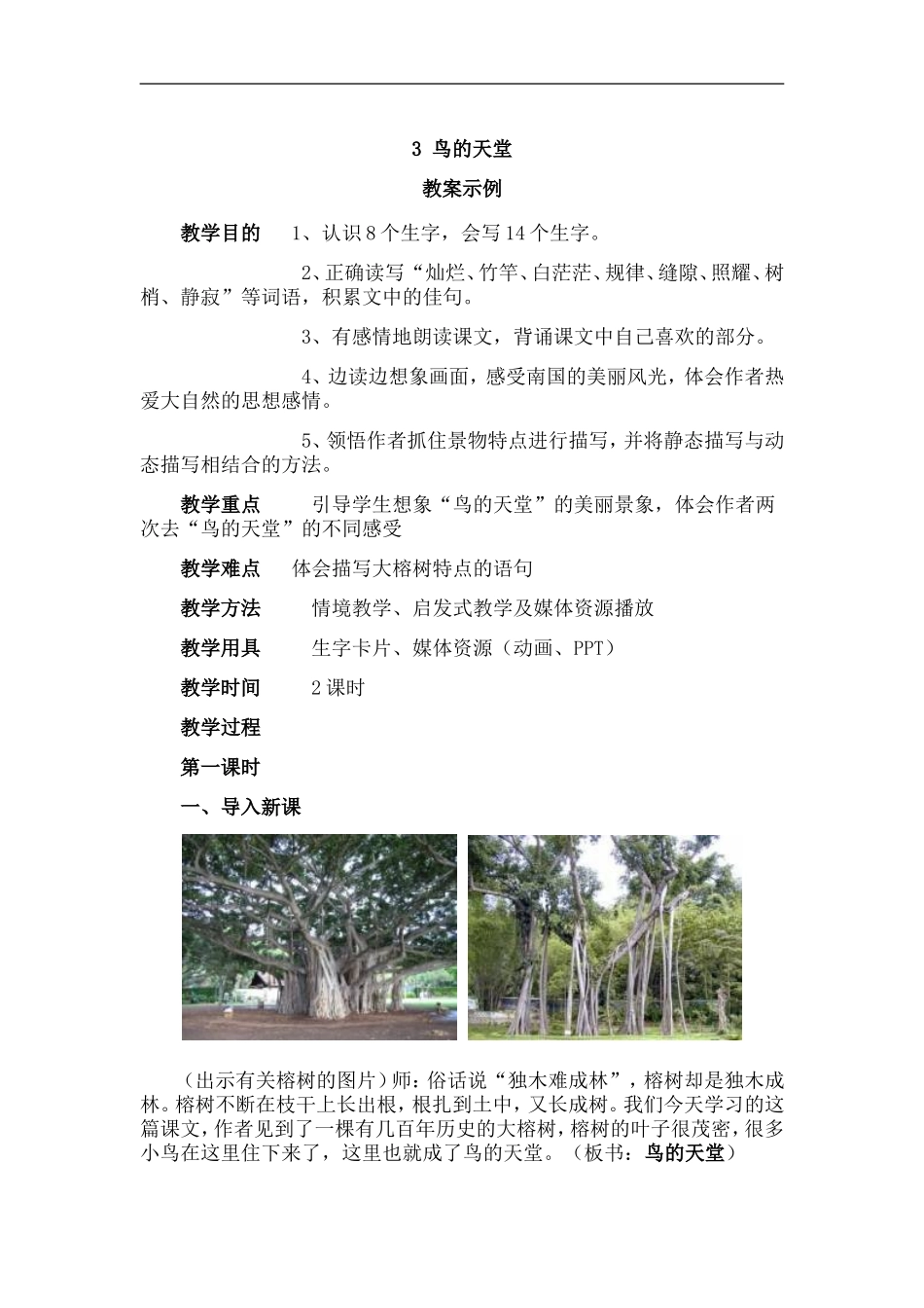鸟的天堂教学案例_第1页