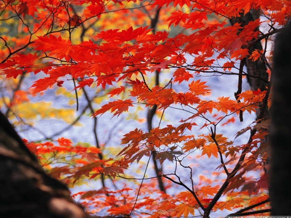 西风的话课件(1)_第2页