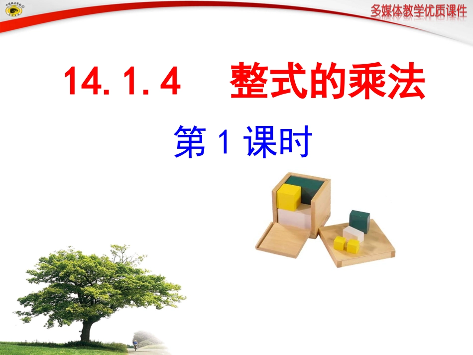 整式的乘法第课时课件_第1页