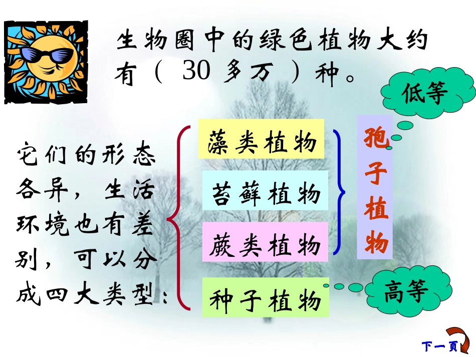 初一生物_种子植物课件_第2页