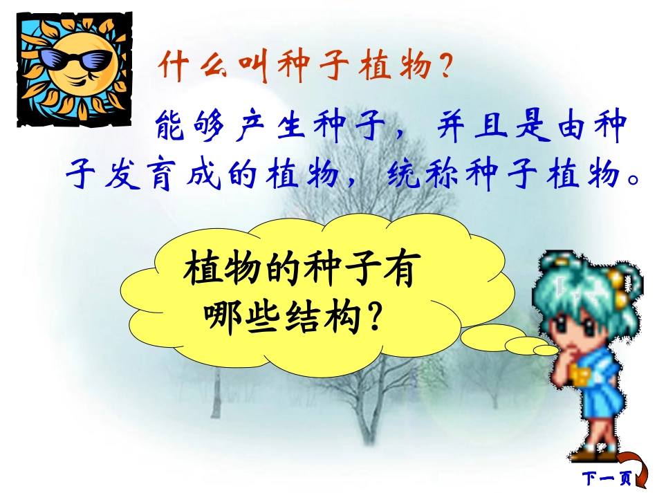 初一生物_种子植物课件_第3页