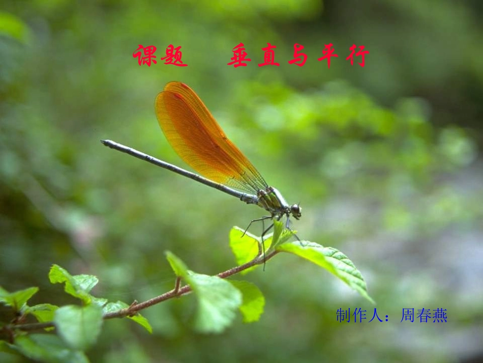 垂直与平行课件_小学四年级数学课件_第2页