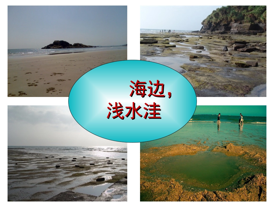 人教版小学语文二年级上册《浅水洼里的小鱼》PPT课件11 (2)_第2页