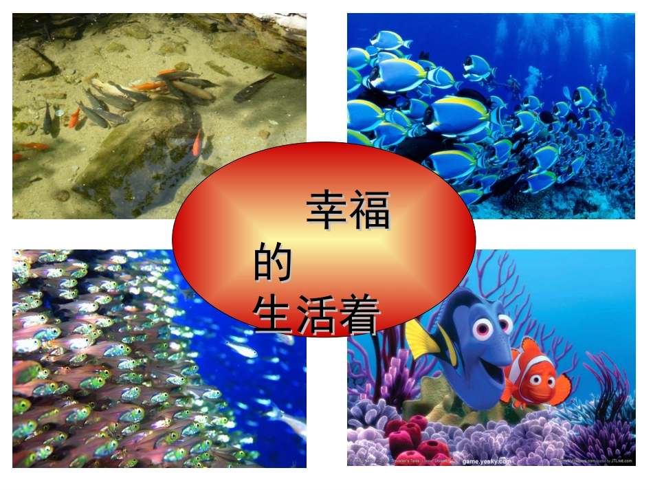 人教版小学语文二年级上册《浅水洼里的小鱼》PPT课件11 (2)_第3页