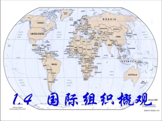 国际组织概观