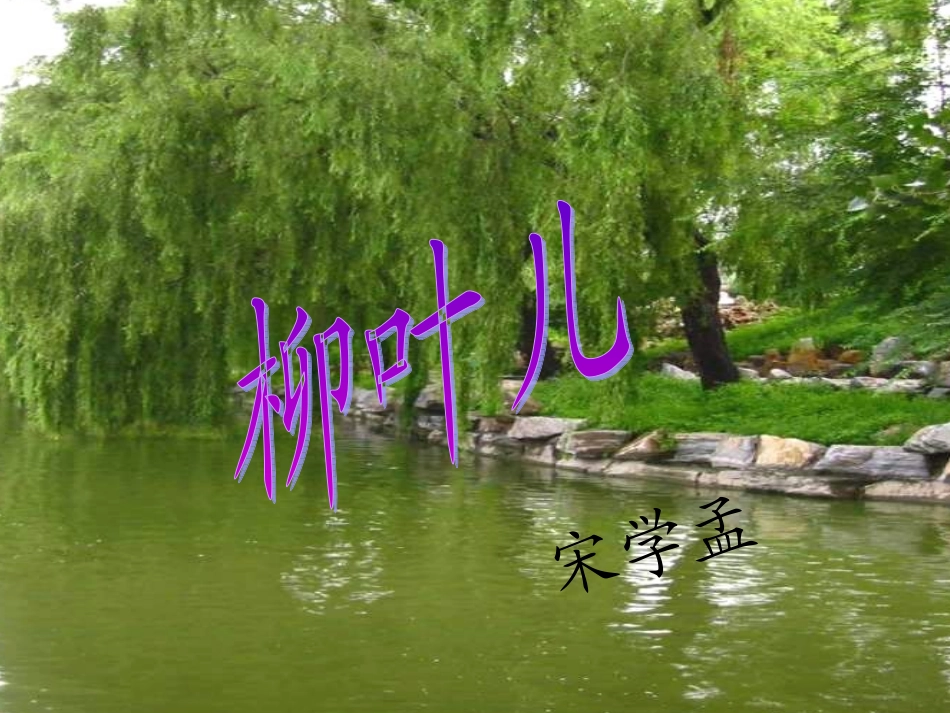 苏教版七年级语文柳叶儿1_第2页