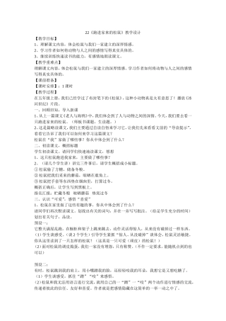 跑进家来的小松鼠