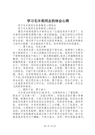 学习毛丰美同志的体会心得