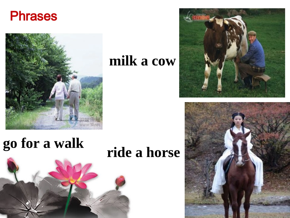 2013年新人教版七年级英语下册Unit_11_How_was_your_school_trip_Section_A课件4_第3页