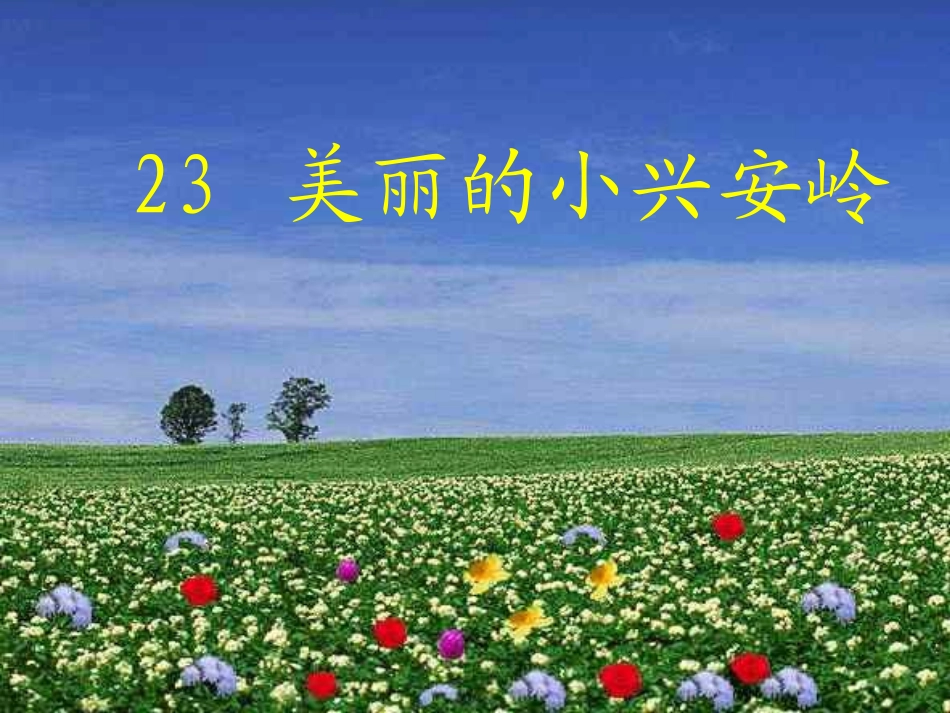 《美丽的小兴安岭》课件_第1页