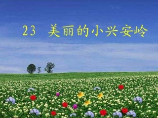 《美丽的小兴安岭》课件