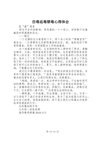 仿毒返毒禁毒心得体会