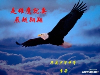 比较线段的长短课件