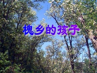 小学三年级上册语文第三课槐乡的孩子PPT课件2