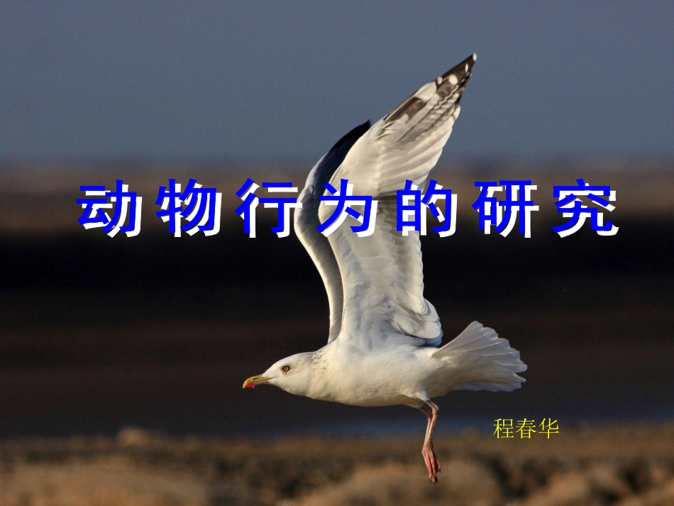 八生下研究动物行为的方法（课件）[1]_第1页