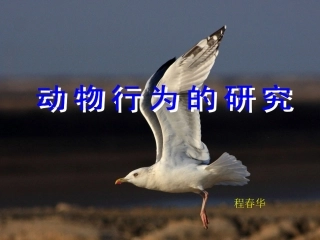 八生下研究动物行为的方法（课件）[1]