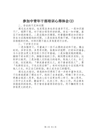 参加中青年干部培训心得体会(2)