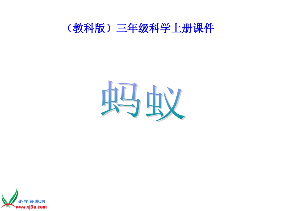 (教科版)三年级科学上册课件_蚂蚁_6_第1页