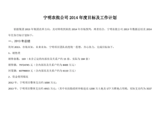 宁明开发项目年目标及工作计划