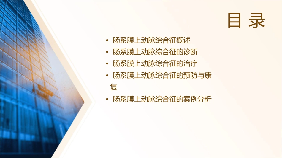 肠系膜上动脉综合征课件_第2页