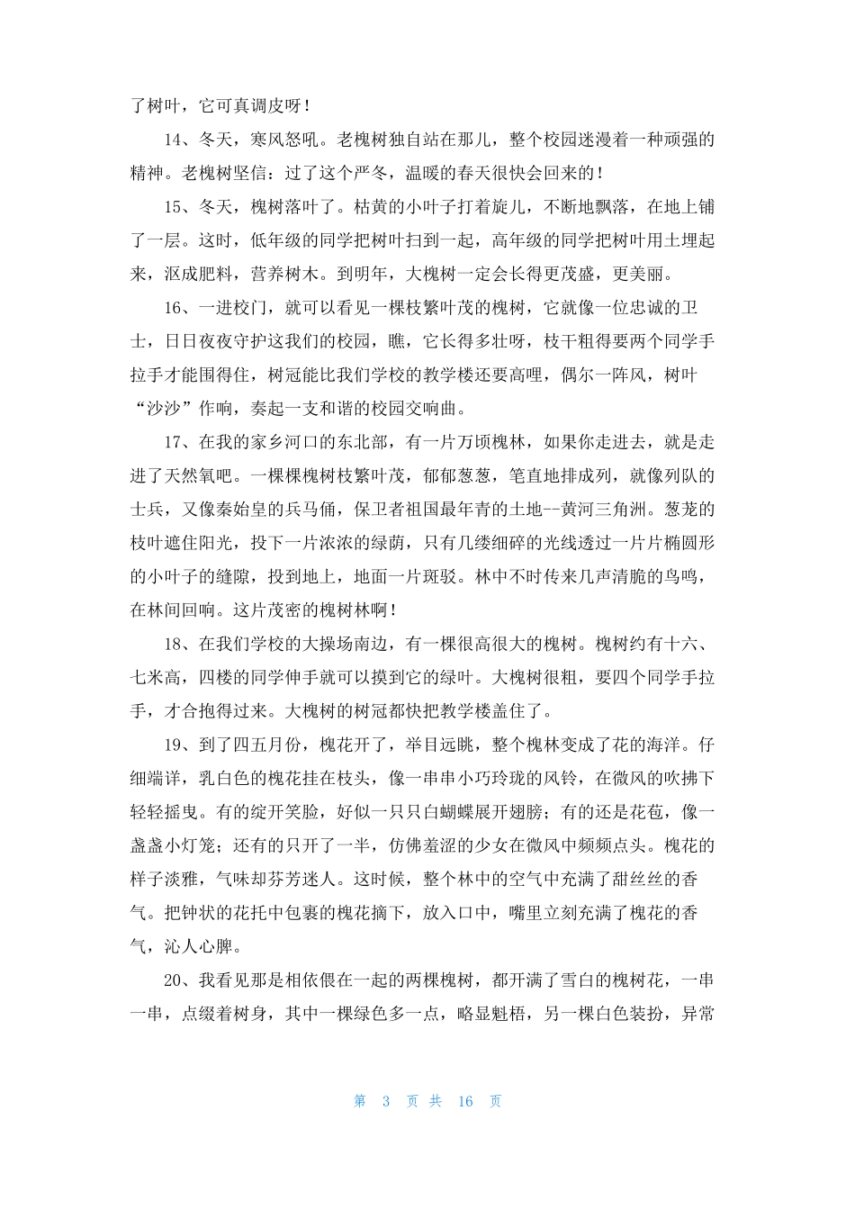 树木名称大全树木大全_第3页