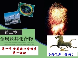 金属的化学性质(1)