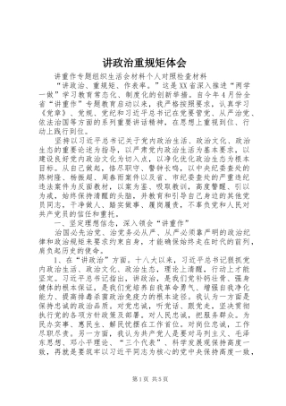讲政治重规矩体会