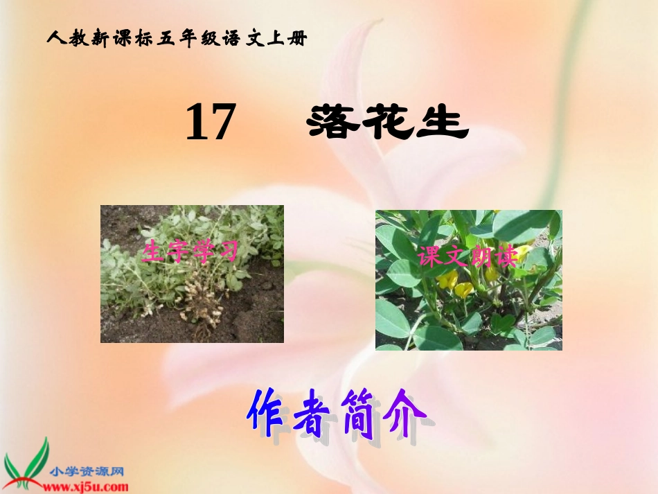 五年级语文课件-落花生_第2页