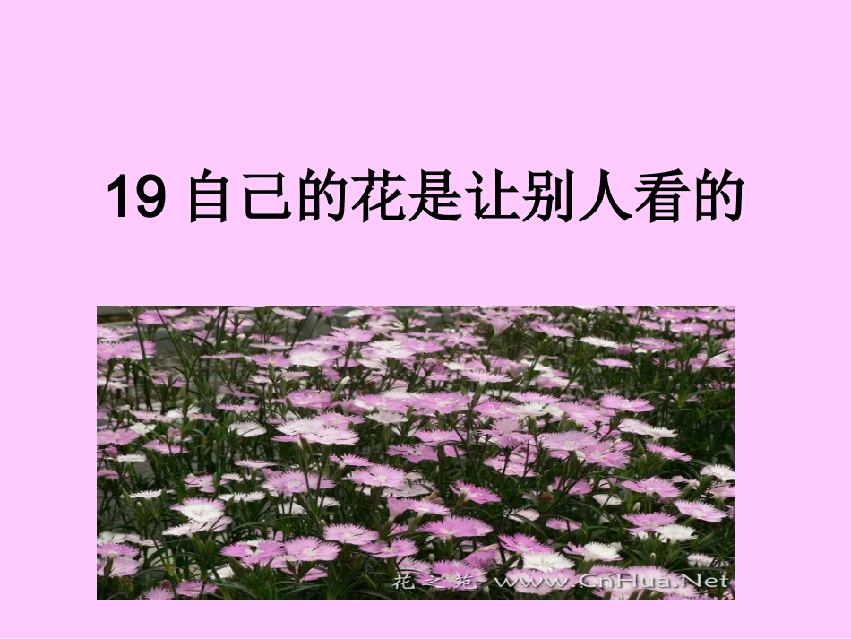 自己的花是让别人看的 _第1页