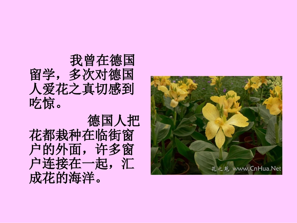自己的花是让别人看的 _第2页