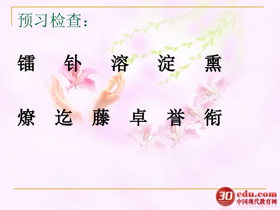 《跨越百年的美丽》教学课件_第2页