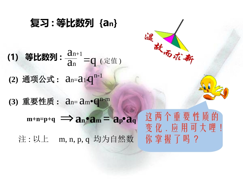 等比数列前n项和公式的推导和应用_第2页