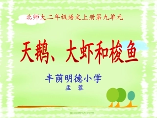 《天鹅、大虾和梭鱼》