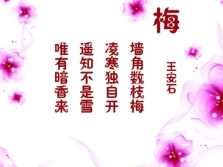 《梅花魂》第一课时