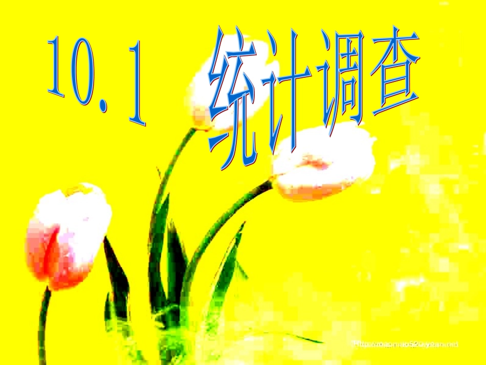 统计调查课件_第1页