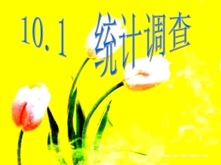 统计调查课件