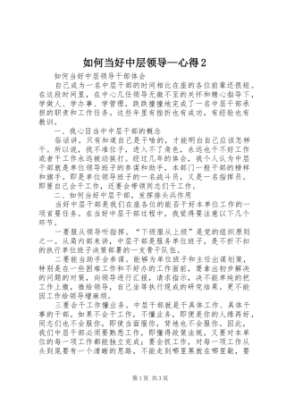 如何当好中层领导—心得2 (4)
