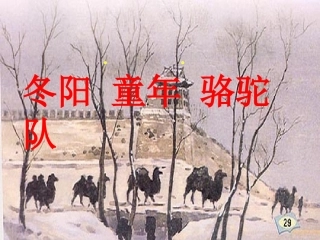 冬阳童年骆驼队第一课时1