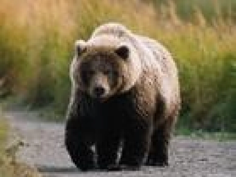 折线统计图_ABC教育网__第1页